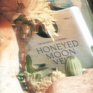 May include: A rectangular label with the text NO. 1, THE WILDFLOWER SISTERS, and HONEYED MOON VEIL, partially obscured by a large yellow dandelion flower, a green seed pod, and textured beige organic elements in a soft, light-filled composition.