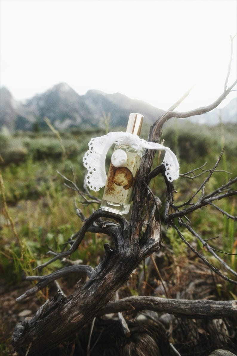 May include: A rectangular glass perfume bottle with a gold cap, featuring a label with a circular illustration of a moon and botanical details. A white lace ribbon with a scalloped edge is tied around the neck of the bottle.