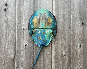 Nature's Pattern #14 - Hand Painted Horseshoe Crab Shell - Dune Time Arts