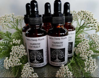 YARROW EXTRACT 1 fluid oz (30ml)