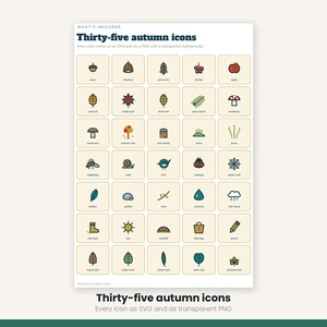 Autumn Woodland Clipart 35 Icons | SVG and Transparent PNG | Fall Leaves Hedgehog Mushroom | Cricut Silhouette Digital Download image 5