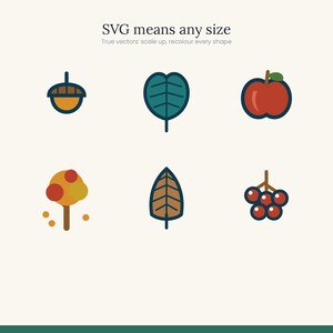 Autumn Woodland Clipart 35 Icons | SVG and Transparent PNG | Fall Leaves Hedgehog Mushroom | Cricut Silhouette Digital Download image 9