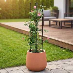 May include: A large, terracotta-coloured plant pot with a black metal trellis, supporting a climbing rose. The rose has green leaves and pink flowers. The pot is on a patio with a wooden deck and grass in the background.