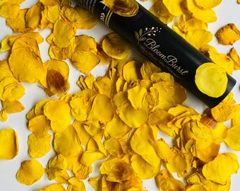 Golden Sunshine confetti cannon |  Biodegradable confetti | dried flower petals | Wedding confetti | Graduation shots