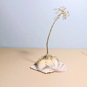 May include: A handcrafted decorative sculpture featuring a seashell base with a gold-colored wire tree. The tree has a twisted trunk and star-shaped leaves. The seashell is beige and white.