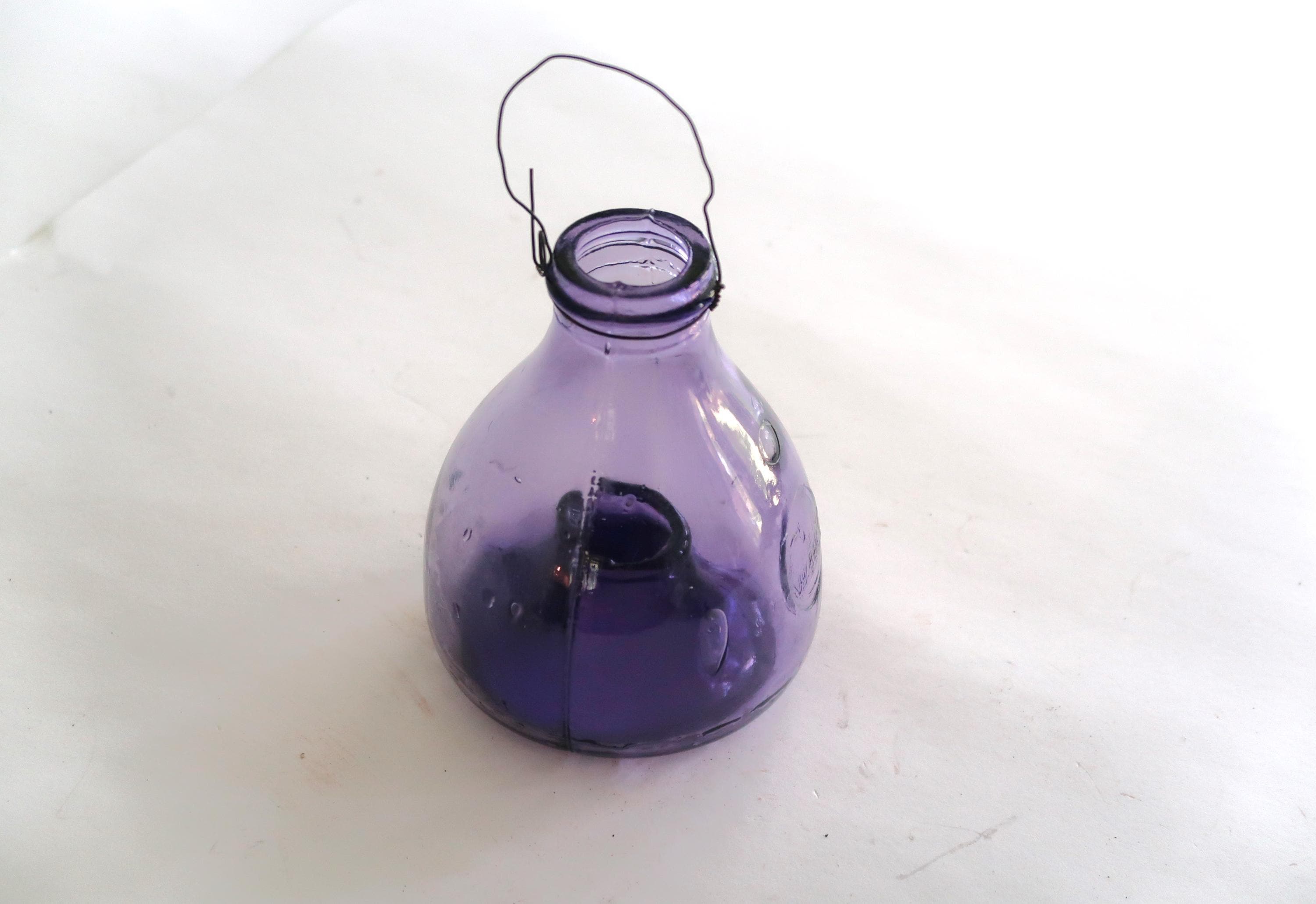 Glass Fly Catcher Vintage - Etsy
