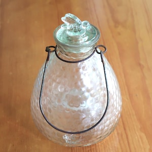 May include: A clear glass lantern with a textured surface and a metal handle. The lantern has a lid with a decorative glass bee on top. The lantern is sitting on a wooden surface.