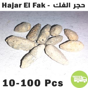 May include: A collection of light brown, oblong-shaped stones, possibly fossils or minerals, scattered on a light-colored surface. The text "Hajar El Fak" is at the top, with "10-100 Pcs" at the bottom. A green "Free Shipping" logo is in the bottom right corner.