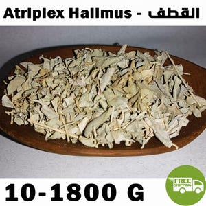 May include: Dried Atriplex Halimus leaves in a wooden scoop. The image includes the text "Atriplex Halimus" and "10-1800 G". A green circle with a truck and the words "FREE SHIPPING" is in the bottom right corner.