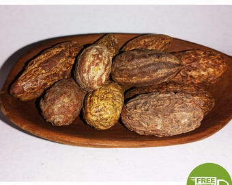 Marokańskie Ood Saleeb Piwonia Paeonia Naturalne suszone ziołowe kadzidło - عود الصليب الفاوانيا