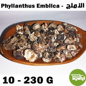 Könnte beinhalten: Ein Holzlöffel gefüllt mit getrockneten, dunkelbraunen und faltigen Phyllanthus Emblica Fruchtstücken. Der Text Phyllanthus Emblica und 10 - 230 G ist auf dem Bild abgedruckt, zusammen mit einem LKW-Symbol und den Worten FREE SHIPPING.
