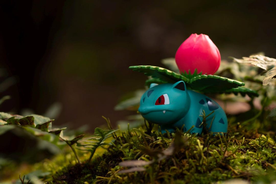 Ivysaur - Real Life Pokemon Snap - 2 Sizes Available - Etsy