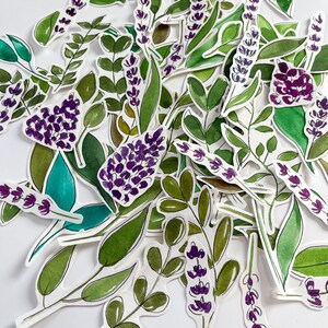 May include: A collection of die-cut stickers featuring watercolor illustrations of purple lavender sprigs and various green foliage. The stickers display detailed botanical shapes with vibrant purple flower clusters and assorted green leaves on a white background.