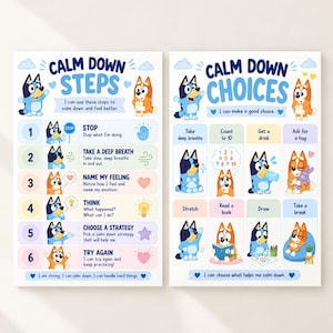 May include: Two educational posters featuring Bluey characters. The left poster titled CALM DOWN STEPS lists six numbered steps with illustrations. The right poster titled CALM DOWN CHOICES displays various activities in a grid format.