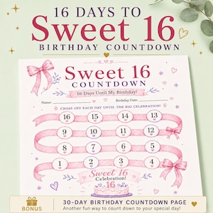 May include: A white paper birthday countdown sheet titled Sweet 16 Countdown with pink ribbons, bows, and numbered circles from 1 to 16. The design includes text fields for name and date, small heart illustrations, and a cake graphic at the bottom.