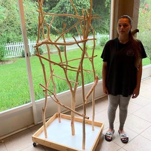 May include: A natural wood bird perch structure with multiple branches and a square base. The perch is on wheels and has a white interior. The structure is designed for birds to climb and perch on.