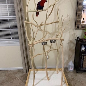 May include: A natural wood bird perch with a red and blue parrot perched on a branch. The perch has multiple levels and stainless steel food bowls. The base is a wooden tray on wheels.