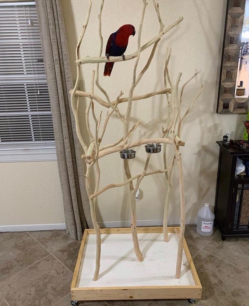 Medium Parrot Tree Stand - Bird Perch - Theparrotguy Stands - Custom - Etsy