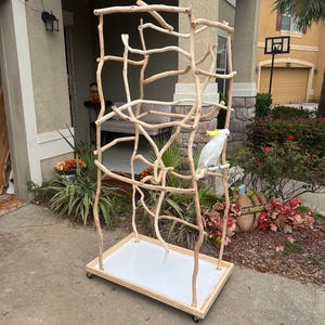 May include: A natural wood bird play stand with a white tray base and a complex branch structure. A white cockatoo with a yellow crest perches on a branch. The stand is on wheels for easy movement.
