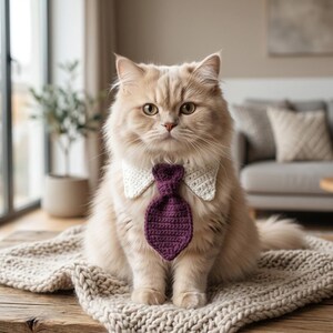Könnte beinhalten: Eine langhaarige cremefarbene Katze trägt einen weißen gehäkelten Kragen mit einer befestigten violetten gehäkelten Krawatte. Die Katze hat goldene Augen und sitzt aufrecht, wobei die detaillierte Textur des Garns im Kragen- und Krawattenaccessoire sichtbar ist.
