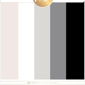 May include: A cardstock pack with vertical color blocks in beige, white, light gray, dark gray, and black. The top has a gold foil label with the text "Minc" and the brand name "Heidi Swapp". The pack contains 20 cardstock sheets.