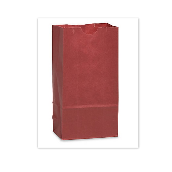 Red Matte Paper Lunch Bags, Gift & Party Favors (Set of 10)