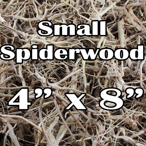 Aquarium Spider Driftwood Small 4 x 8 Inches Lot Bulk Random Fish Betta Nano Wood Hardscape Reptile Piece Natural Branch Root Home Decor