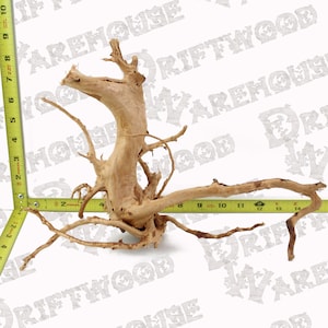 Aquarium Spiderwood Driftwood Fish Wood Reptile Piece Medium Large Natural Branch Root Home Decor WYSIWYG : 13.25 x 4.5 x 9 image 1