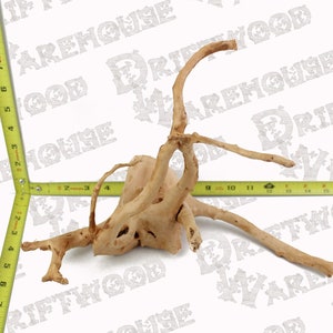 Aquarium Spiderwood Driftwood Fish Wood Reptile Piece Large Medium Natural Branch Root Home Decor WYSIWYG : 13&quot; x 7&quot; x 9.5&quot;