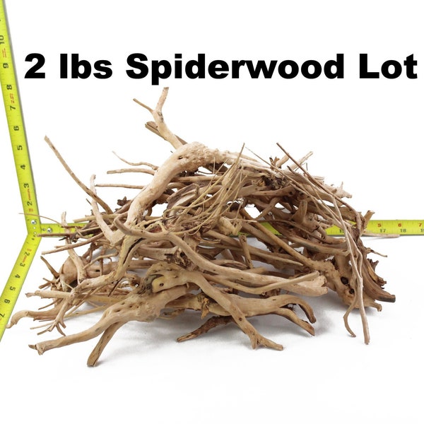 Driftwood Branch Spiderwood 2 LB Lot Aquarium Decoration Hardscape Kit Sinking Root Small Arts & Crafts Home Decor Fish Wood WYSIWYG