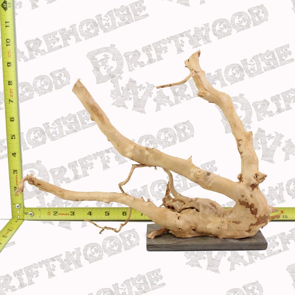 Aquarium Driftwood Centerpiece Etsy