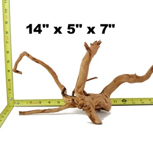 Aquarium Driftwood , Fish Tank Wood, Biophilic Design, Natural Home