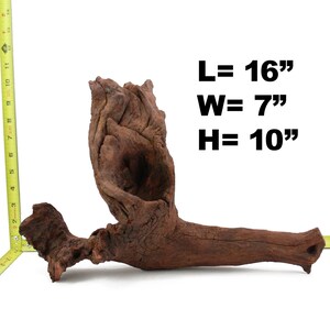 Aquarium Driftwood, Fish Tank Wood, Reptile Wood, Biophilic Design