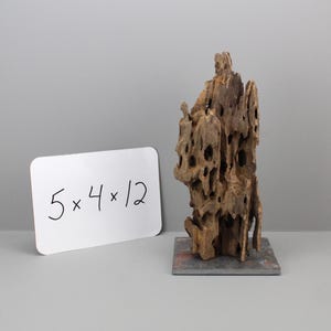May include: A piece of brown driftwood with a porous, weathered texture standing upright on a square gray base. A white rectangular sign next to the driftwood displays the handwritten black text 5 x 4 x 12, indicating its dimensions in inches.