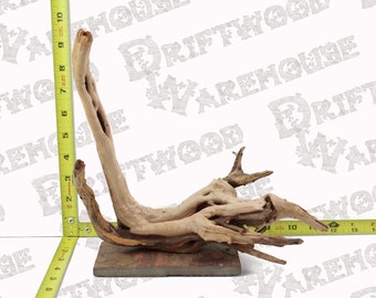 Acquario SpiderWood Driftwood Mounted Slate Fish Sinking Large Medium Natural Branch Root Home Decor WYSIWYG: 10" x 7.5" x 9.75"