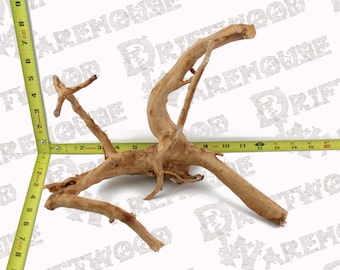 Acquario Spiderwood Driftwood Pesce Legno Rettile Pezzo Medio Grande Ramo Naturale Radice Home Decor WYSIWYG : 11" x 8" x 9.25"