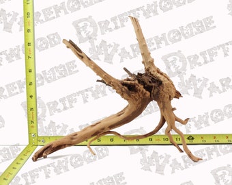 Acquario Spiderwood Driftwood Pesce Legno Rettile Pezzo Grande Medio Ramo Naturale Radice Home Decor WYSIWYG: 11,5" x 3,75" x 9,75"