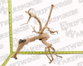 Aquarium Spiderwood Driftwood Fish Wood Reptile Piece Large XL Extra Natural Branch Root Home Decor WYSIWYG : 13.25&quot; x 8&quot; x 13.5&quot;