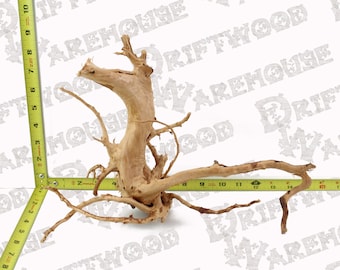 Aquarium Spiderwood Driftwood Fish Wood Reptile Piece Medium Large Natural Branch Root Home Decor WYSIWYG : 13.25&quot; x 4.5&quot; x 9&quot;