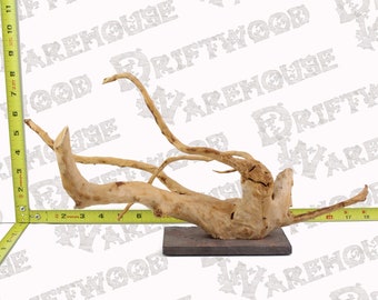 Acquario SpiderWood Driftwood Montato Ardesia Pesce Affondante Grande Medio Ramo Naturale Radice Home Decor WYSIWYG : 16" x 6" x 8"