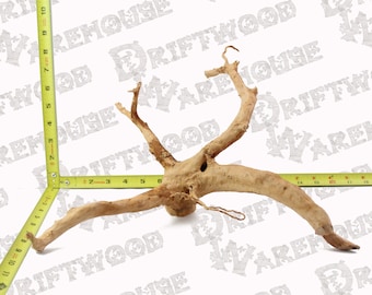 Aquarium Spiderwood Driftwood Fish Wood Reptile Piece Large Medium Natural Branch Root Home Decor WYSIWYG : 13.5" x 10.25" x 8.25"