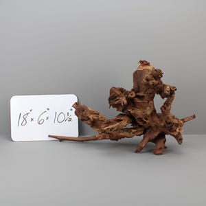 18×6×10.5 Coral Driftwood | Natural Aquarium Wood | Unique Branching Aquascape Centerpiece | Fish Tank, Terrarium, Reptile Decor