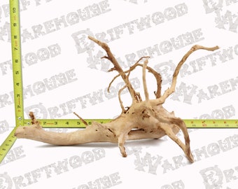 Acquario Spiderwood Driftwood Pesce Legno Rettile Pezzo Grande Medio Ramo Naturale Radice Home Decor WYSIWYG : 14.75" x 9" x 8.25"