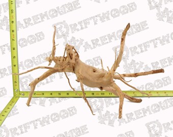 Acquario Spiderwood Driftwood Pesce Legno Rettile Pezzo Grande Medio Ramo Naturale Radice Home Decor WYSIWYG : 15.75" x 8" x 9"