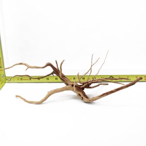 Driftwood Branch Spiderwood 4 Piece Lot Aquarium Decoration Hardscape Kit Sinking Root Small Arts & Crafts Home Decor Fish Wood WYSIWYG image 8