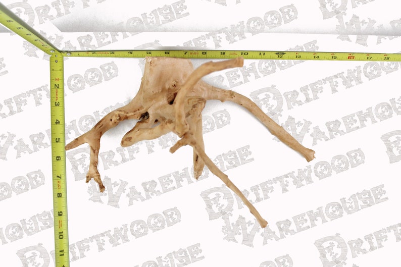 Aquarium Spiderwood Driftwood Fish Wood Reptile Piece Large Medium Natural Branch Root Home Decor WYSIWYG : 13 x 7 x 9.5 image 3