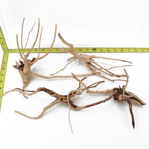 Driftwood Branch Spiderwood 4 Piece Lot Aquarium Decoration Hardscape Kit Sinking Root Small Arts & Crafts Home Decor Fish Wood WYSIWYG image 7