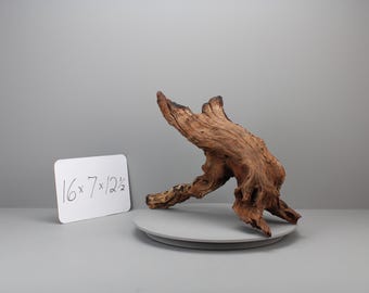 Korallen Treibholz Aquarium Hardscape | Natürliches Astholz für Aquascaping & Aquarien | Skulpturale Herzstück | WYSIWYG | 16x7x12,5