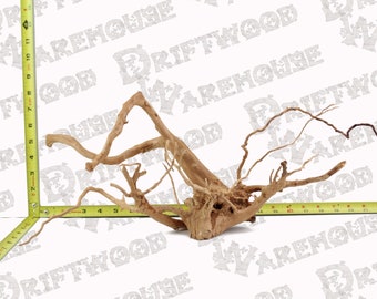 Aquarium Spiderwood Driftwood Fish Wood Reptile Piece Medium Large Natural Branch Root Home Decor WYSIWYG : 17" x 7" x 8"