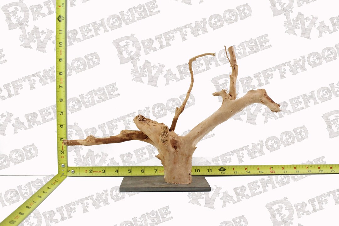 Aquarium Spiderwood Driftwood Mounted Slate Fish Sinking Medium Large